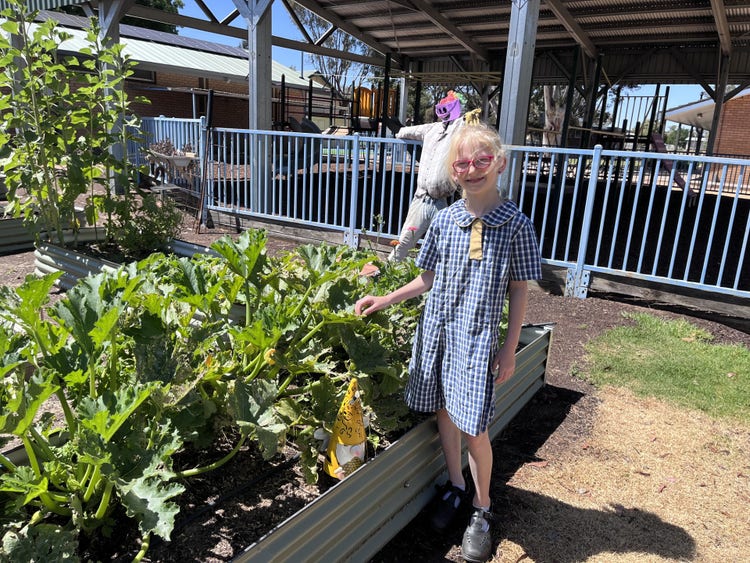 student in school vegetable garden